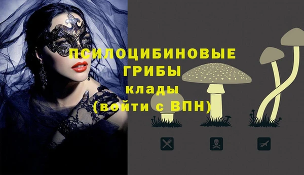 прущие крисы Алзамай