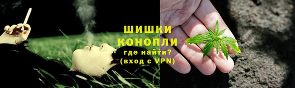 дурь Сатка