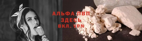гашик Абаза